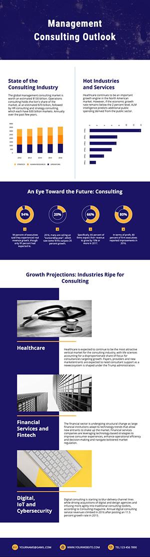 Business Management Consult Infographic Design