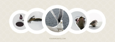 Lovely Animal Facebook Cover Design