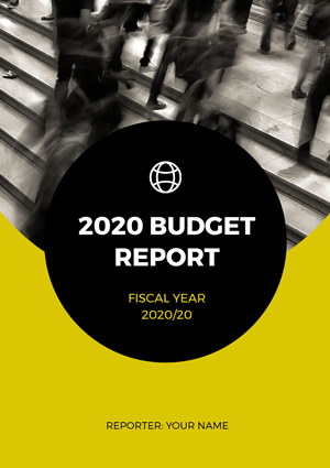 Budget Report Design