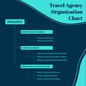 Travel Agency Organization Chart Chart Design