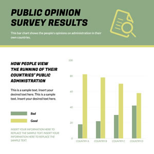 Public Opinion Survey Results Bar Chart Design