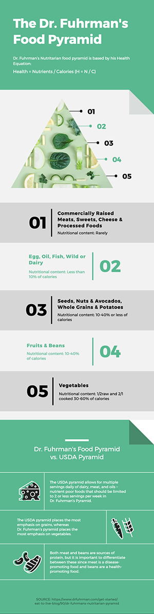 Food Pyramid Analysis Infographic Design