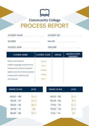 Student Progress Report Design