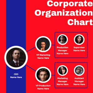 Corporate Organization Chart Design