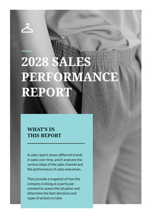 Sales Performance Report Design