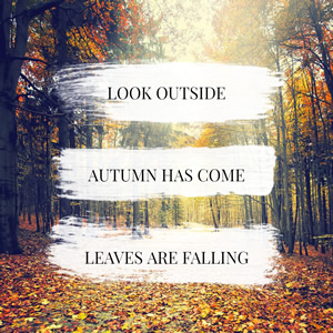 Autumn Coming Instagram Post Design