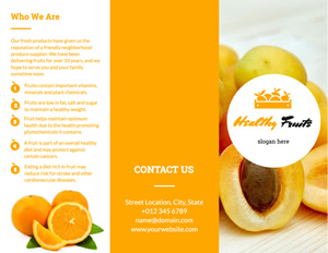 Healthy Orange Brochure Design