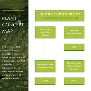 Plant Concept Map Chart Design