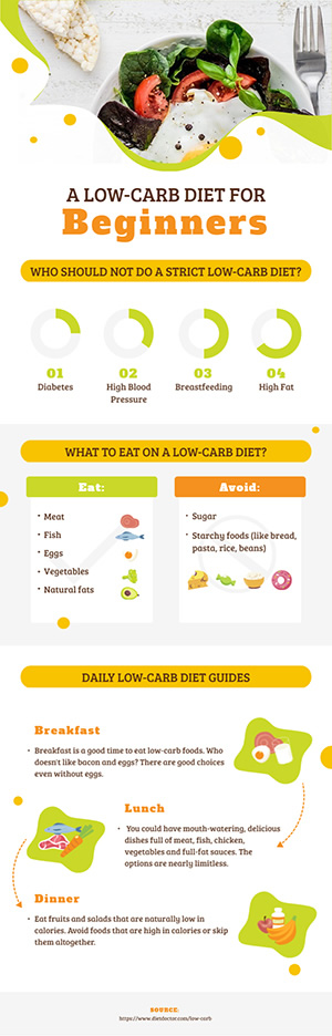 Low Carb Diet Infographic Design