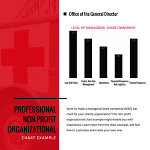 Nonprofit Organizations Bar Chart Design