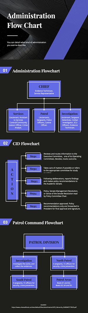 Administration Flow Chart Infographic Design