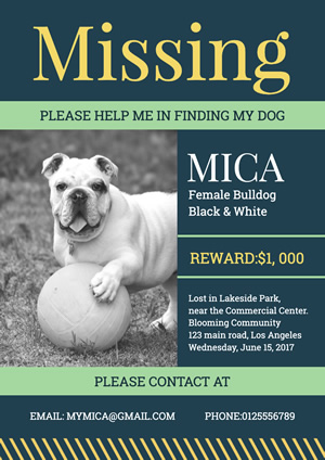 Free Lost Dog Poster Templates Online To Edit Designcap