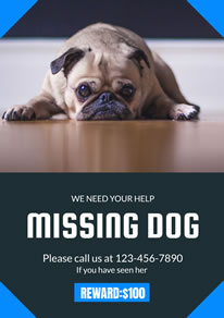 free missing poster flyer designs designcap poster flyer maker